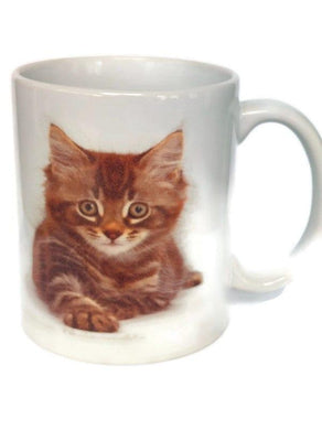 Custom Printed Retro Funny 11oz Ceramic Coffee Mug/Tea Cup Mug-08