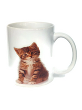 Load image into Gallery viewer, Custom Printed Retro Funny 11oz Ceramic Coffee Mug/Tea Cup Mug-07