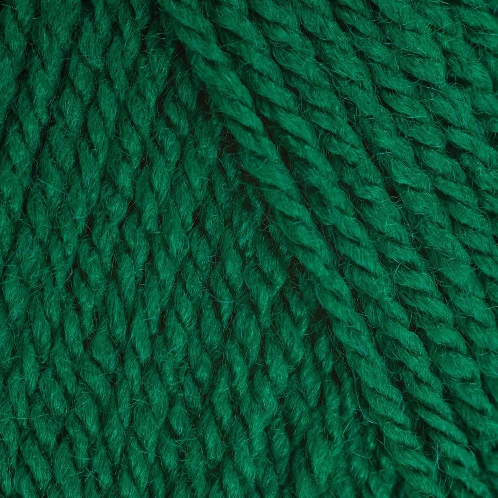 Stylecraft Knitting Yarn/Wool for Knit & Crochet, Chunky - Green (1116)