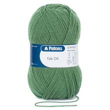 Load image into Gallery viewer, Patons Fab DK 100g - Fern (2341)