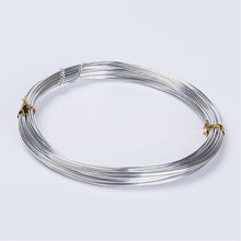 Load image into Gallery viewer, 1 x Silver Aluminium Craft Wire 10 Metre x 1mm Coil