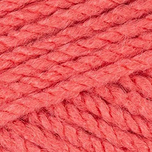Stylecraft Knitting Yarn/Wool 100g Ball for Knit & Crochet, Special Aran - Watermelon (1839)