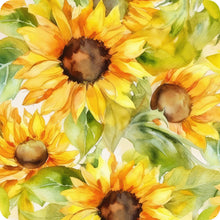 Load image into Gallery viewer, Set of 6 Sunflower Square MDF Coaster - Set-16