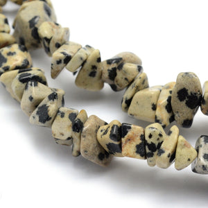 1 Strand (200+) Natural Dalmatian Jasper Gemstone Chips 5 - 8mm